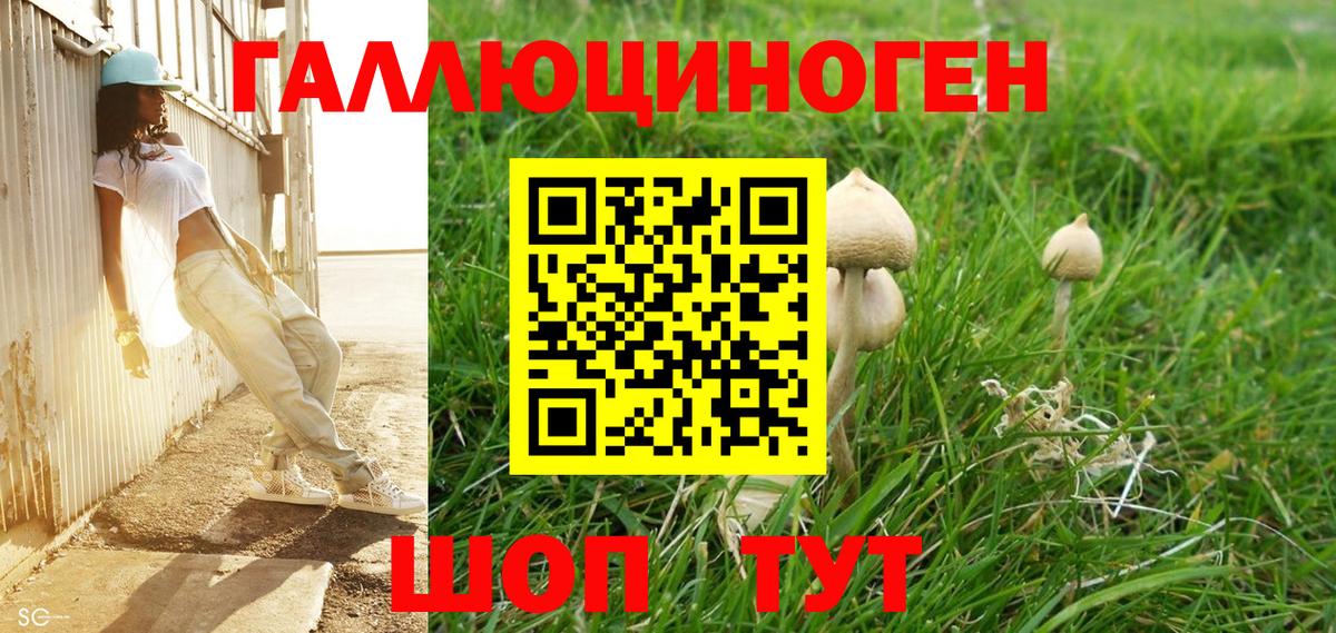Изобильный  цена   Вход с VPN  Псилоцибиновые грибы Cubensis 