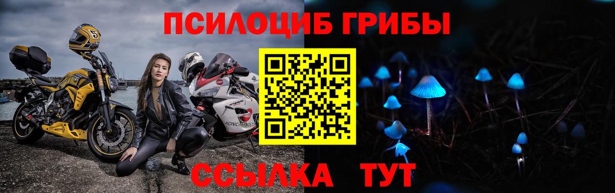 Псилоцибиновые грибы Psilocybine cubensis Изобильный
